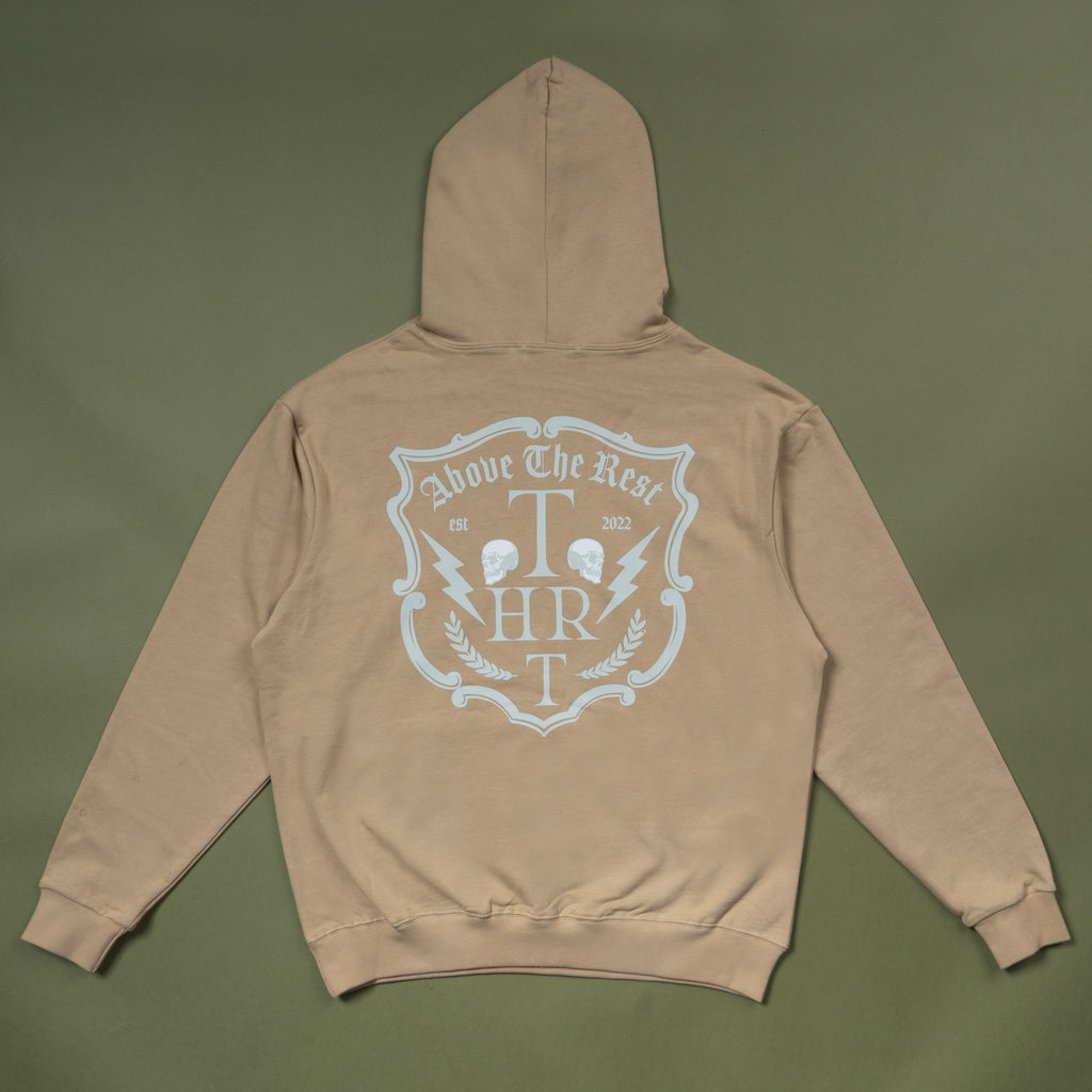 ABOVE THE REST MINERAL HOODIE - BROWN